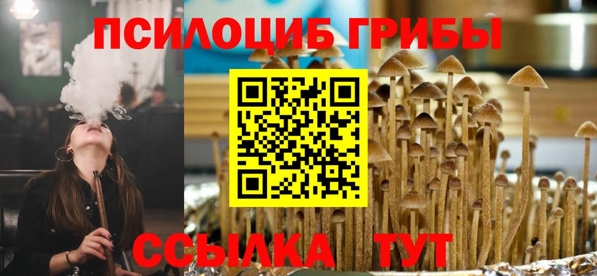 Псилоцибиновые грибы Psilocybine cubensis  Вход с VPN  Белово 